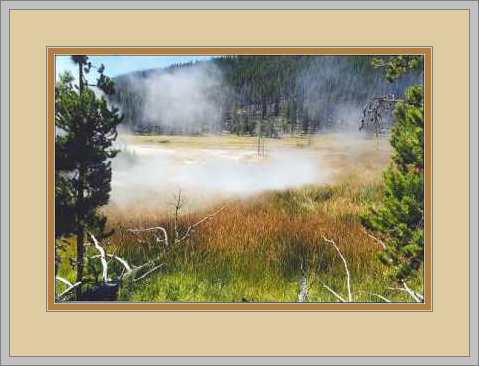 Autumn in the Geyser Basin: Yellowstone National Park