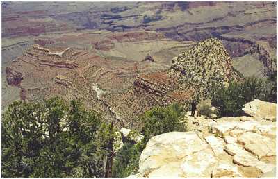 Grand Canyon artist