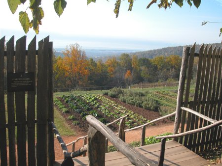 Garden at Monticello
