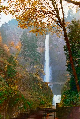 Multnomah Falls in the Autumn, #2