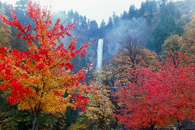 Multnomah Falls in the Autumn, #4