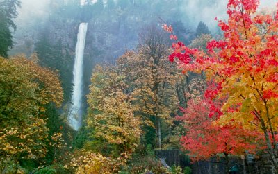 Multnomah Falls in the Autumn, #5