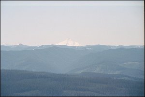 Mount Jefferson from Larch Mountain