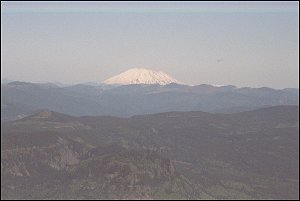 Mount St. Helens from Larch Mountain