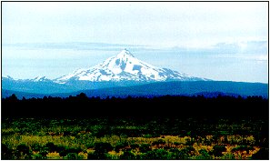 Mount Jefferson from the southeast