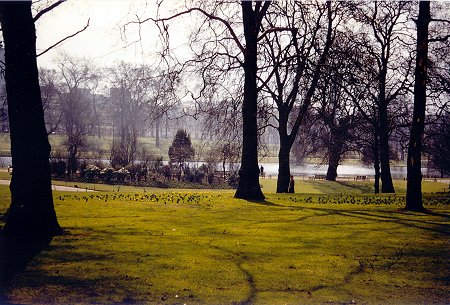 Hyde Park, London, 1955