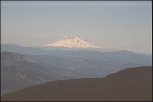 Mount Adams from Larch Mountain