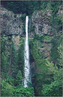 Multnomah Falls 4