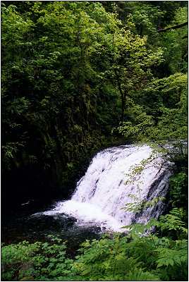 Cascading Falls 2