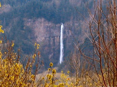 Multnomah Falls from Prindle, Washington